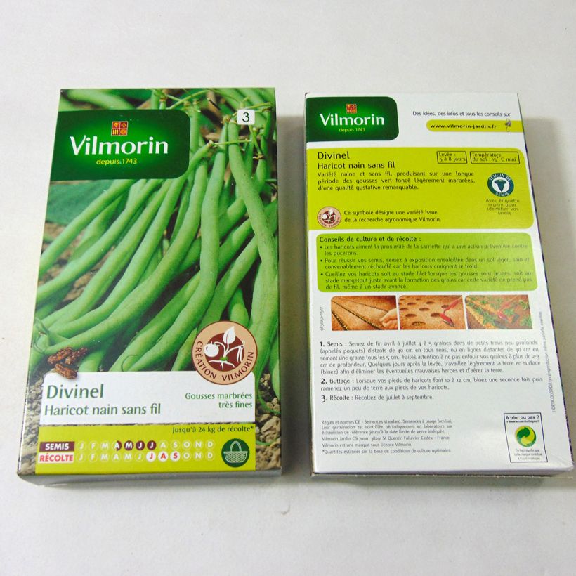 Example of Stamslaboon Divinel - Vilmorin het zakje met 400 zaden (200g) as you get