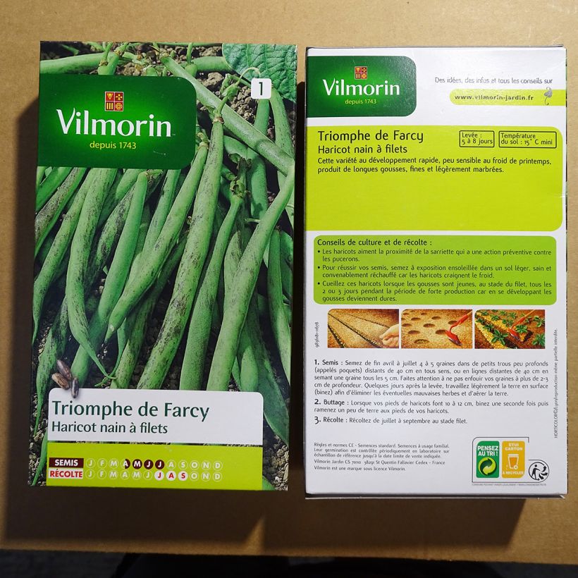 Example of Stamslaboon Triomf van Farcy - Vilmorin het zakje met 500 zaden (250g) as you get