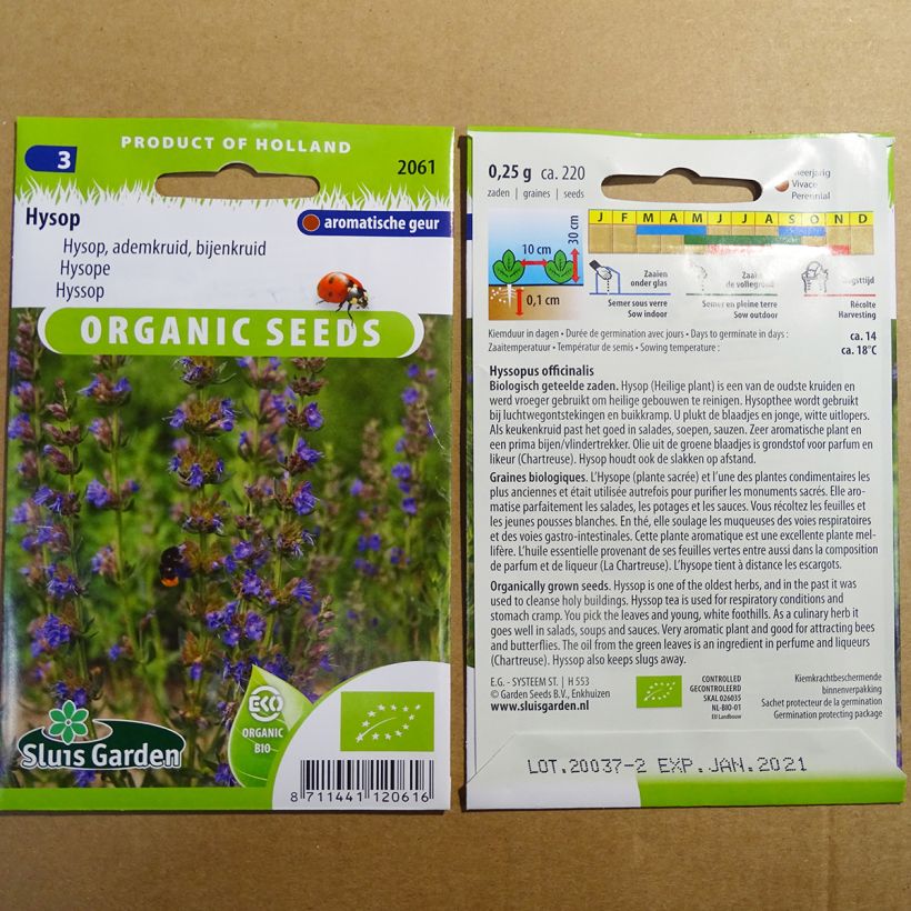 Voorbeeld van een exemplaar van Hyssop BIO - Hyssopus officinalis het zakje met 220 zaden (0.25g) zoals geleverd