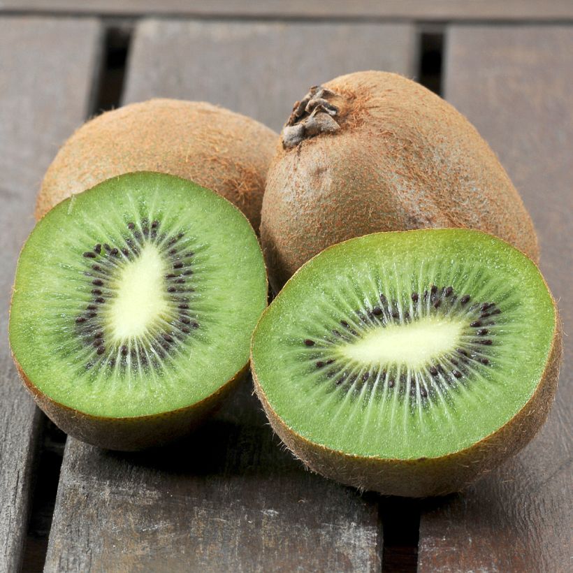 Kiwi - Actinidia deliciosa Boskoop (Oogst)
