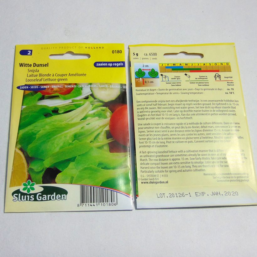 Voorbeeld van een exemplaar van Verbeterde lichtgroene snijsla het zakje met 6500 zaden (5g) zoals geleverd