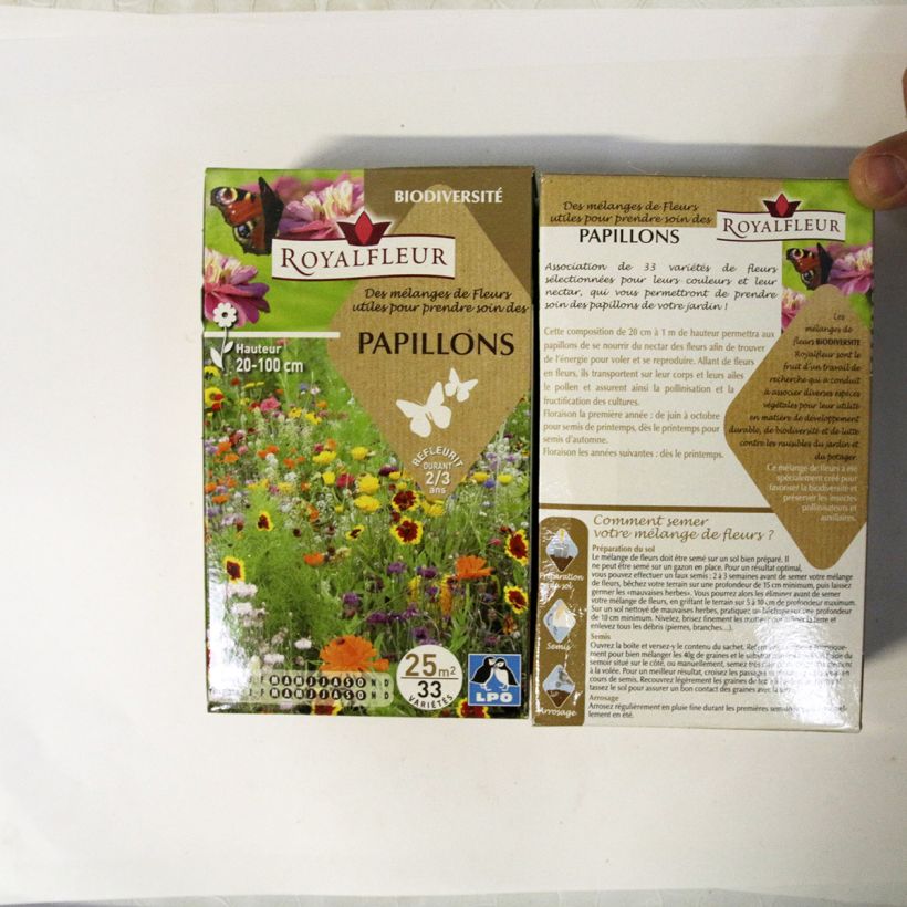 Voorbeeld van een exemplaar van Vlindermengsel - Doos voor 25 m2 het zakje zaden van 40 gram zoals geleverd