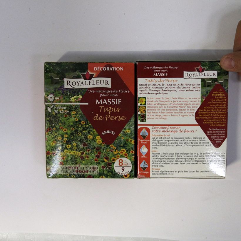 Voorbeeld van een exemplaar van Tapijtmengsel Perzisch tapijt - Doos voor 8 m² het zakje zaden van 14 gram zoals geleverd