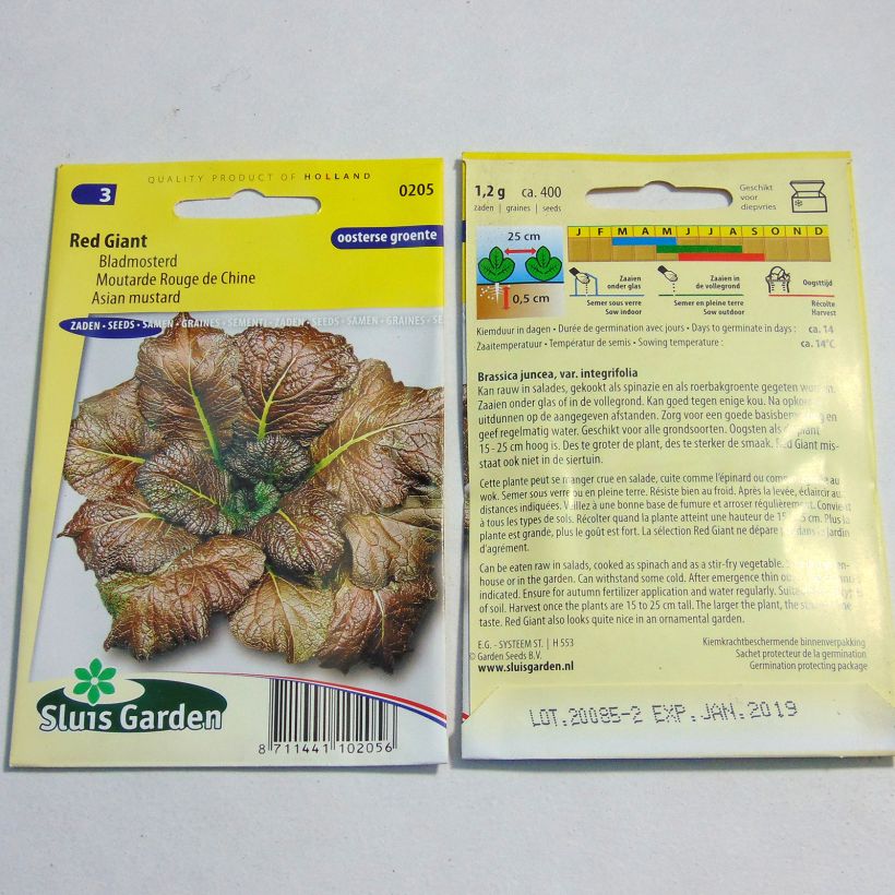 Voorbeeld van een exemplaar van Bladmosterd Red Giant het zakje met 800 zaden (2g) zoals geleverd