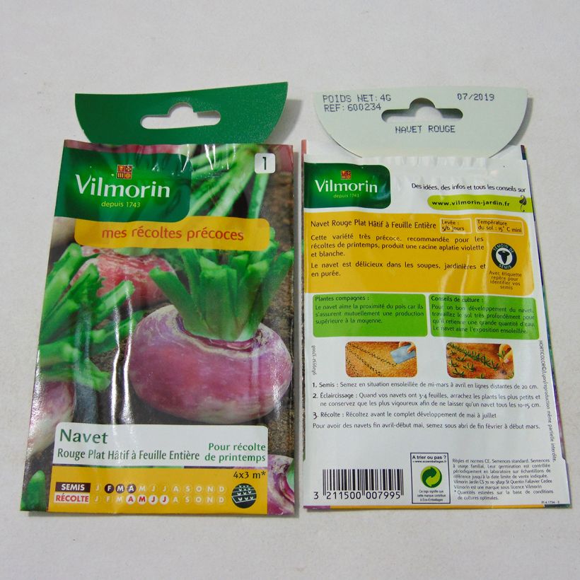 Voorbeeld van een exemplaar van Knolraap Vroege met heel blad - Vilmorin het zakje met 1600 zaden (4g) zoals geleverd