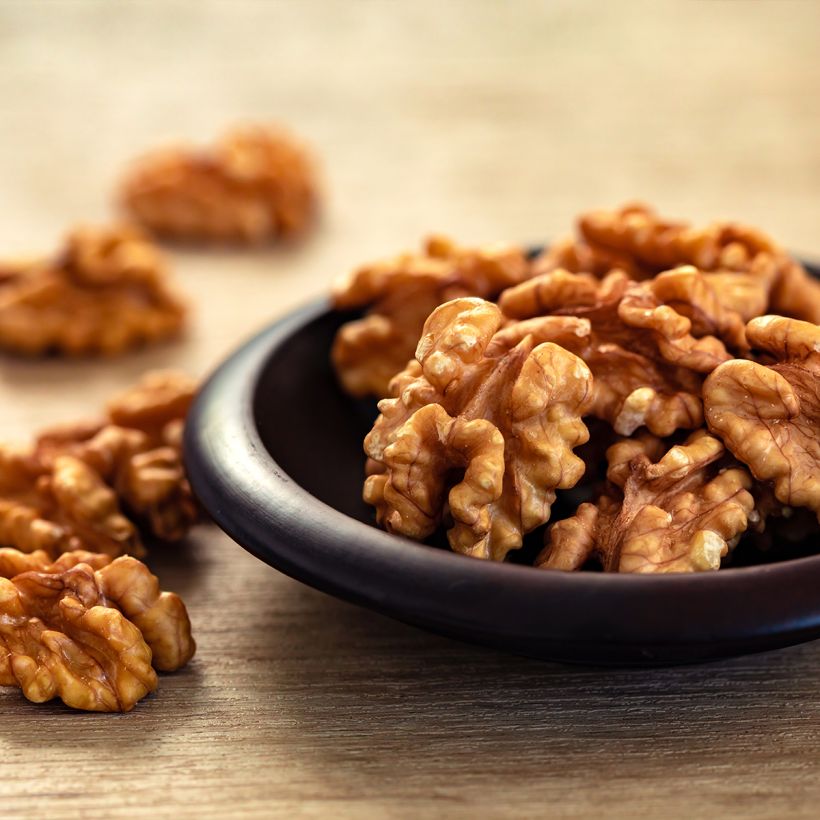 Walnoot Weinsberg 1 (Harvest)