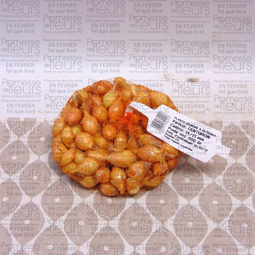 Example of Ui Centurion Stuk kaliber 14/21 mm as you get