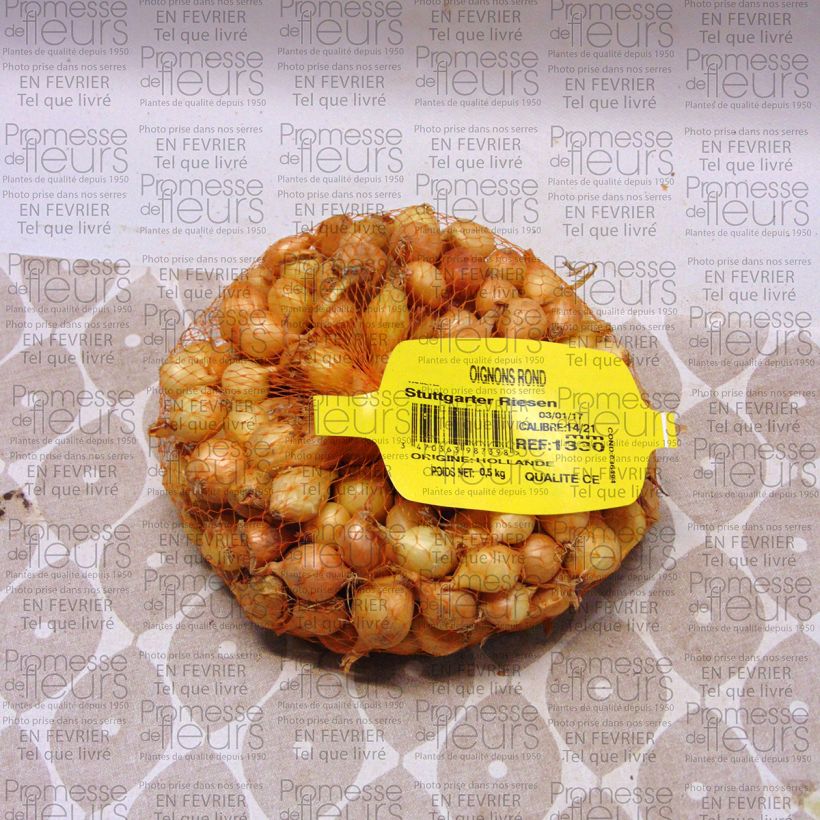 Example of Ui Stuttgarter Riesen (pootgoed) Stuk kaliber 14/21 mm as you get