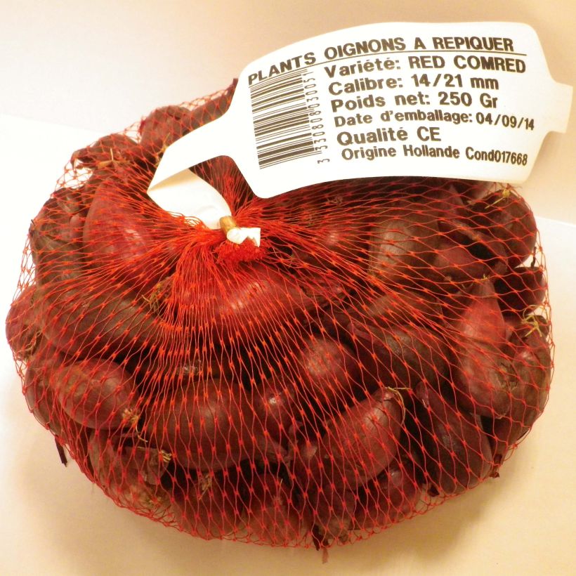 Example of Rode ui Red Karmen (pootgoed) Stuk kaliber 14/21 mm as you get