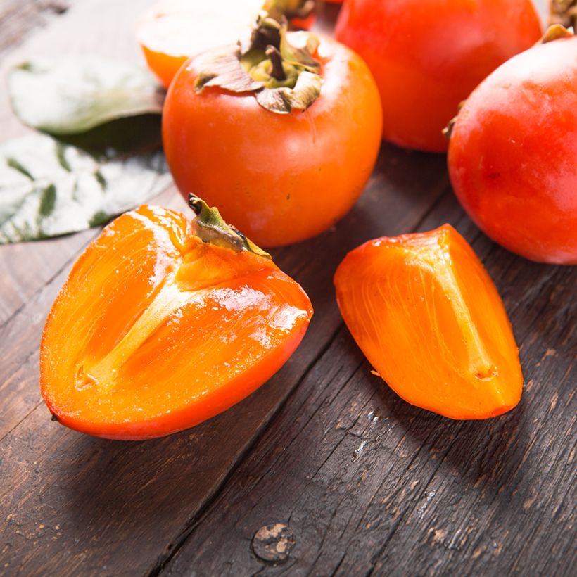 Kakiboom Korea (Oogst)