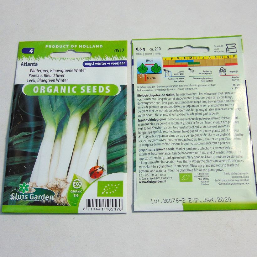 Voorbeeld van een exemplaar van Prei Atlanta BIO het zakje met 210 zaden zoals geleverd