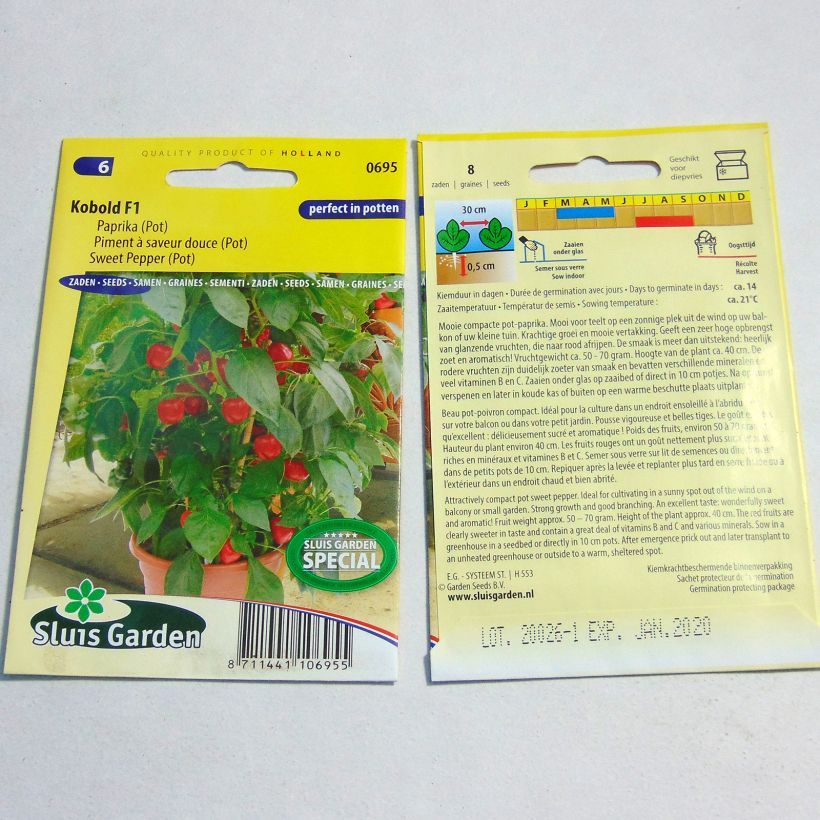 Example of Paprika Kobold F1 het zakje met 8 zaden as you get