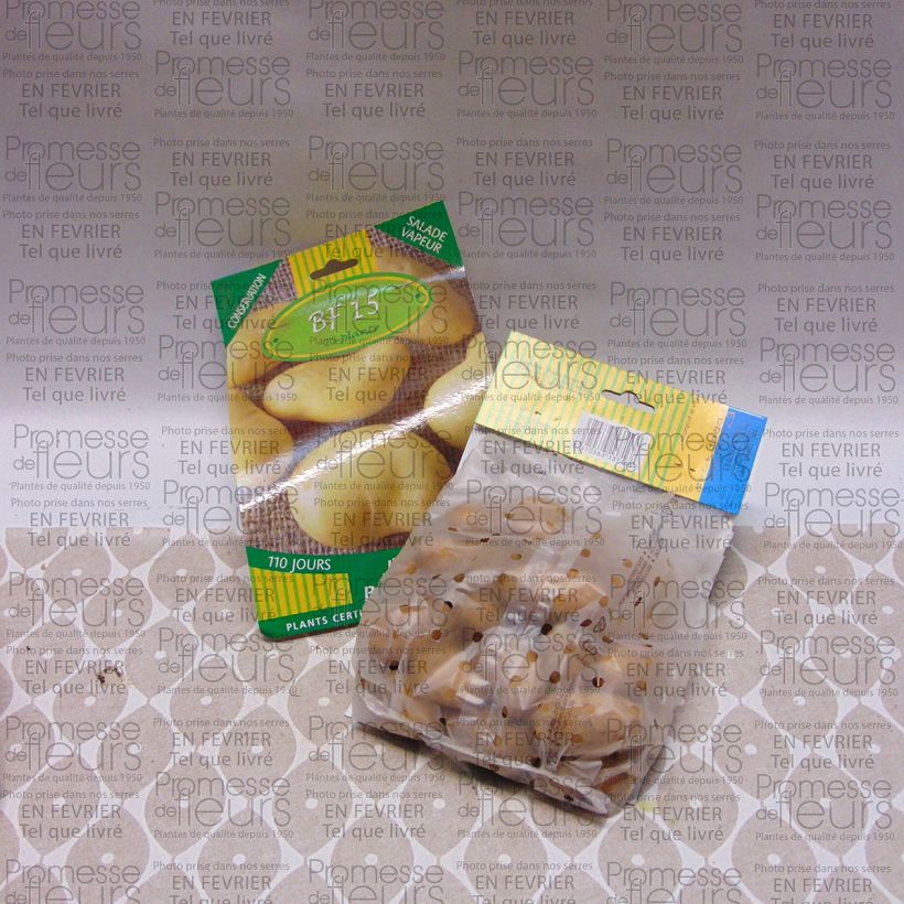 Voorbeeld van een exemplaar van Aardappel BF 15 Tas kaliber 25/35 mm zoals geleverd