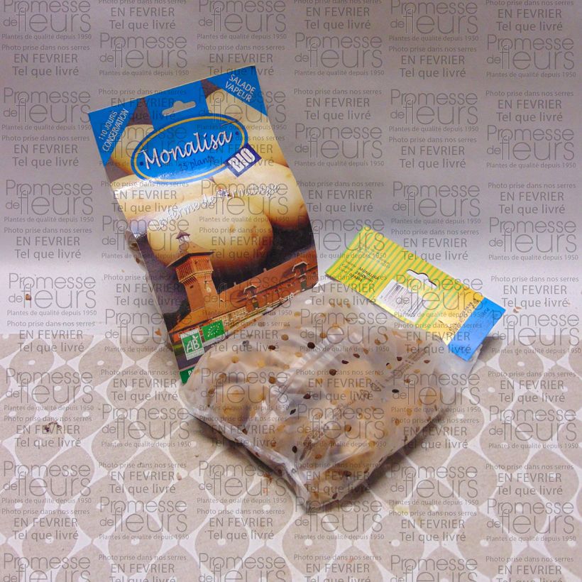 Voorbeeld van een exemplaar van Aardappel Mona Lisa BIO Zak met 25 plantjes kaliber 28/45 mm zoals geleverd