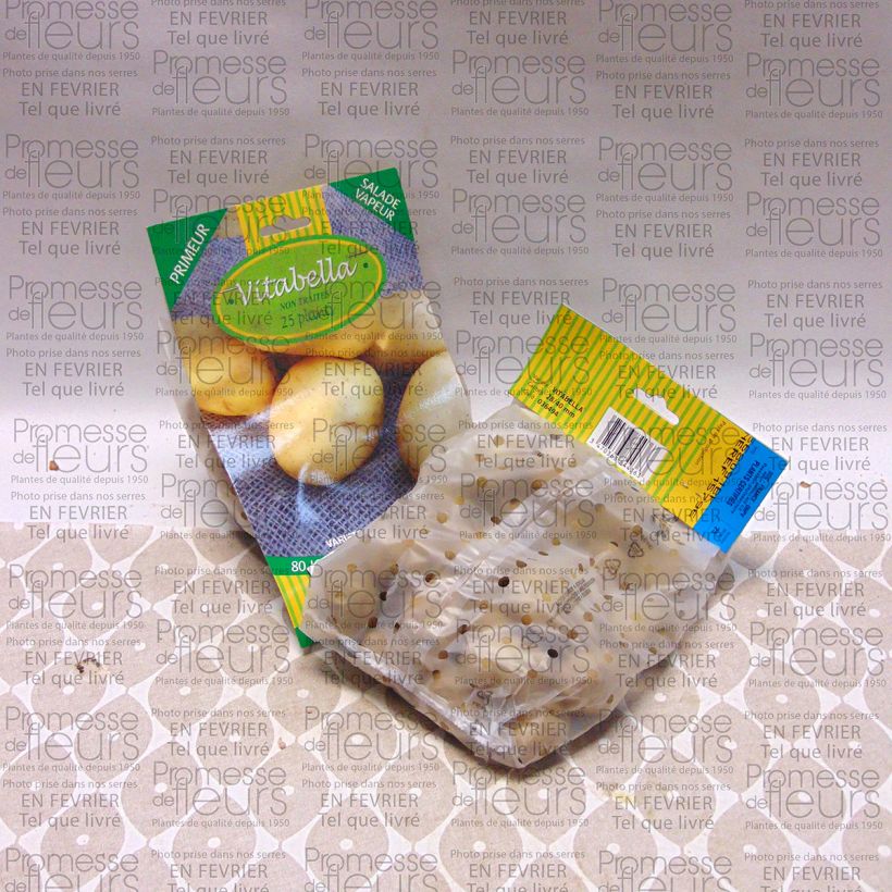 Voorbeeld van een exemplaar van Aardappel Vitabella Zak met 25 plantjes kaliber 28/35 mm zoals geleverd