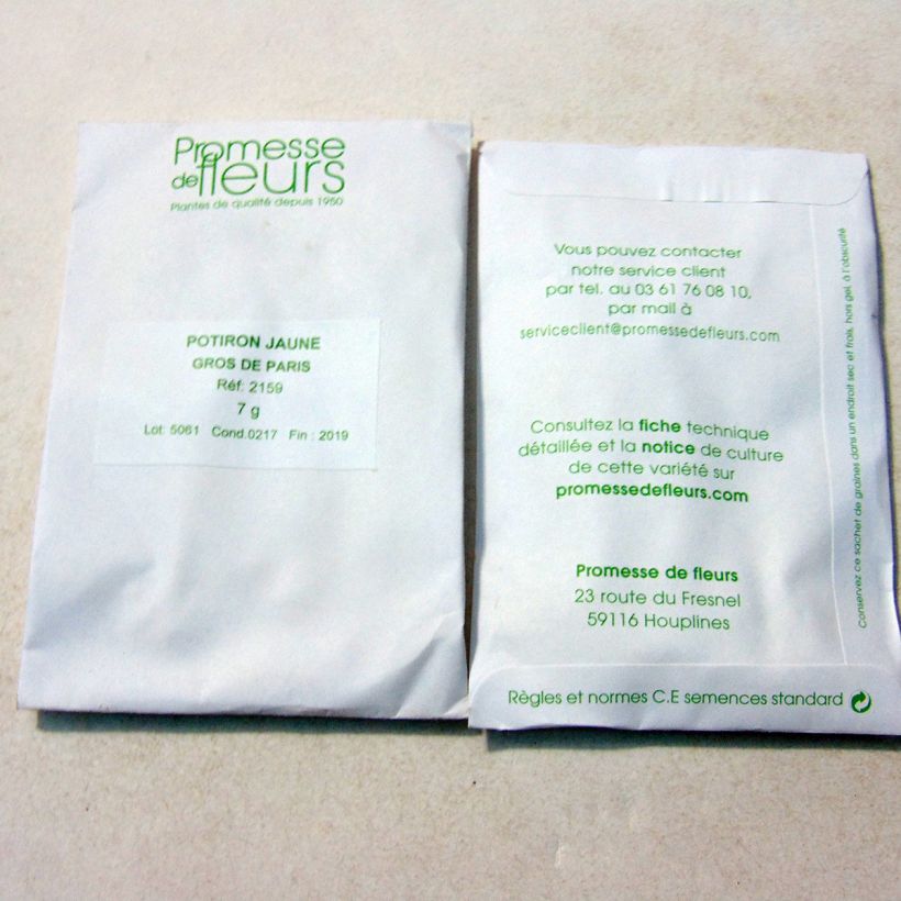 Example of Reuzenpompoen Grote gele van Parijs het zakje met 20 zaden (7g) as you get