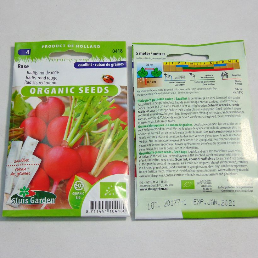 Voorbeeld van een exemplaar van Radijs Raxe BIO (zaailint) Zaden op lint zoals geleverd