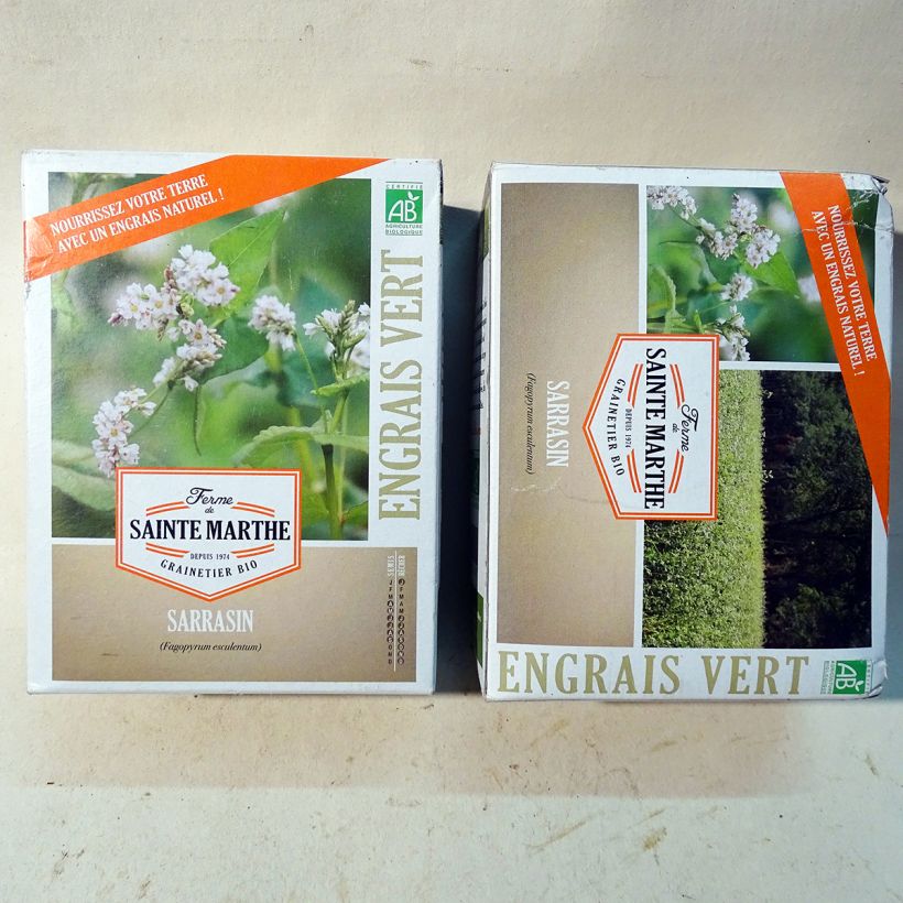 Voorbeeld van een exemplaar van Boekweit BIO groenbemester Ferme de Sainte Marthe - Fagopyrum esculentum het zakje zaden van 400 gram zoals geleverd