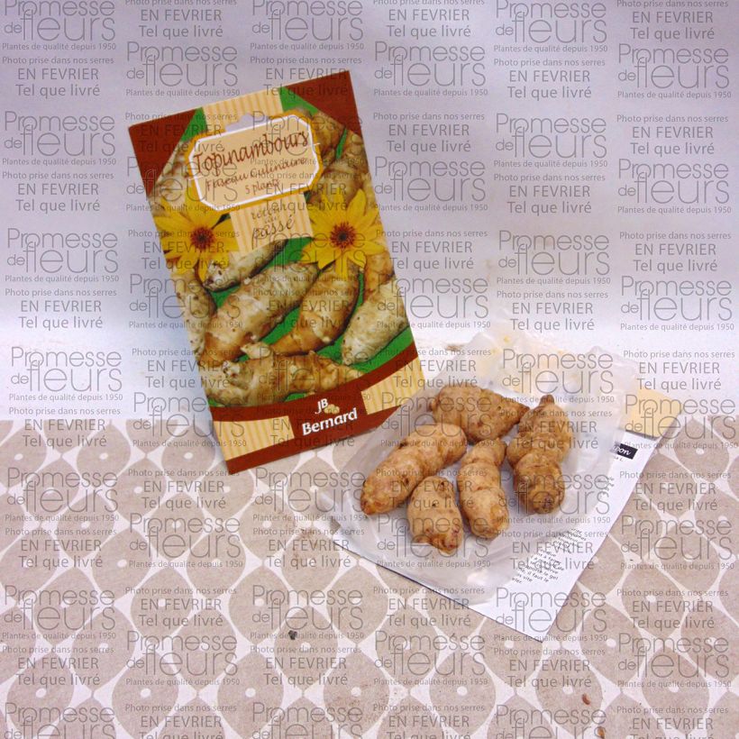 Voorbeeld van een exemplaar van Aardpeer Fuseau Stuk zoals geleverd