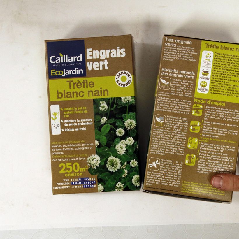 Example of Witte klaver groenbemester Zaden as you get