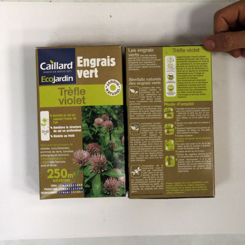 Example of Rode klaver groenbemester 250 m² - Trifolium pratense Zaden as you get