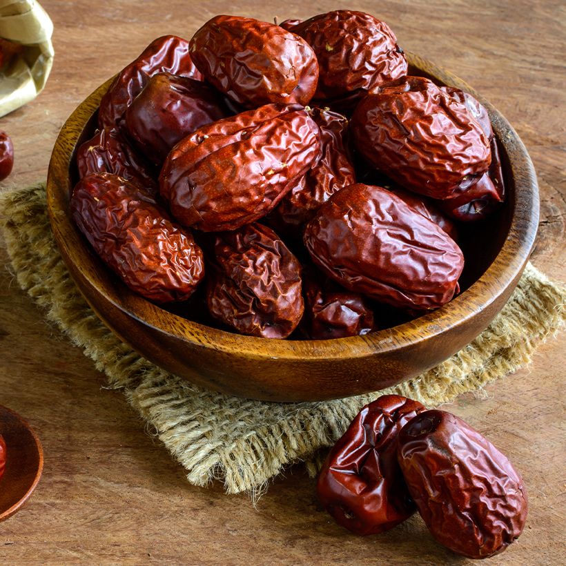 Chinese dadelboom Abundance - Ziziphus jujuba (Oogst)