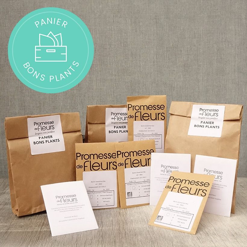 Voorbeeld van een exemplaar van Panier bons plants graines Zaden zoals geleverd