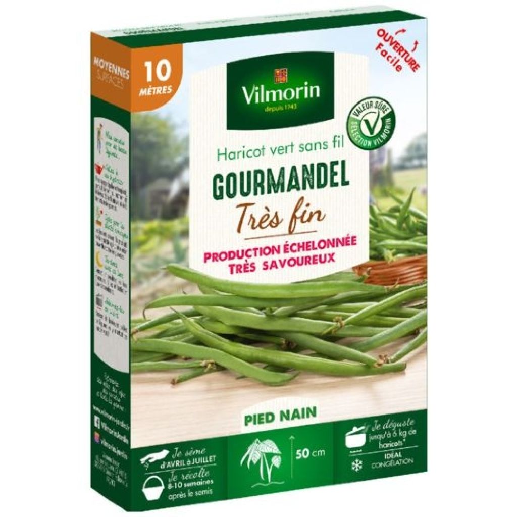 Stamslaboon Gourmandel - Vilmorin