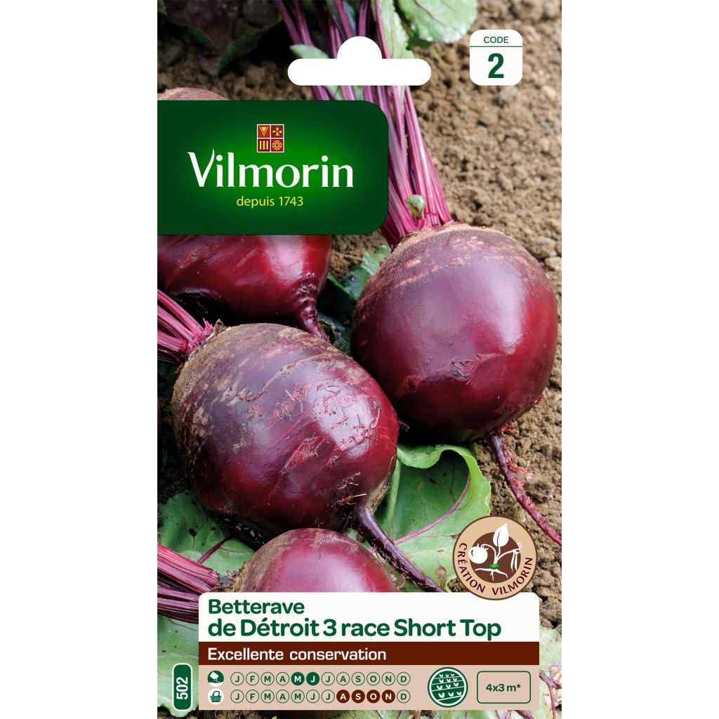 Rode biet Détroit 3 - Vilmorin