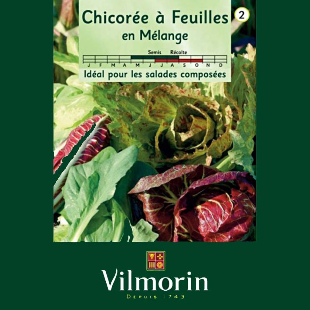 Bladcichorei Mix - Vilmorin