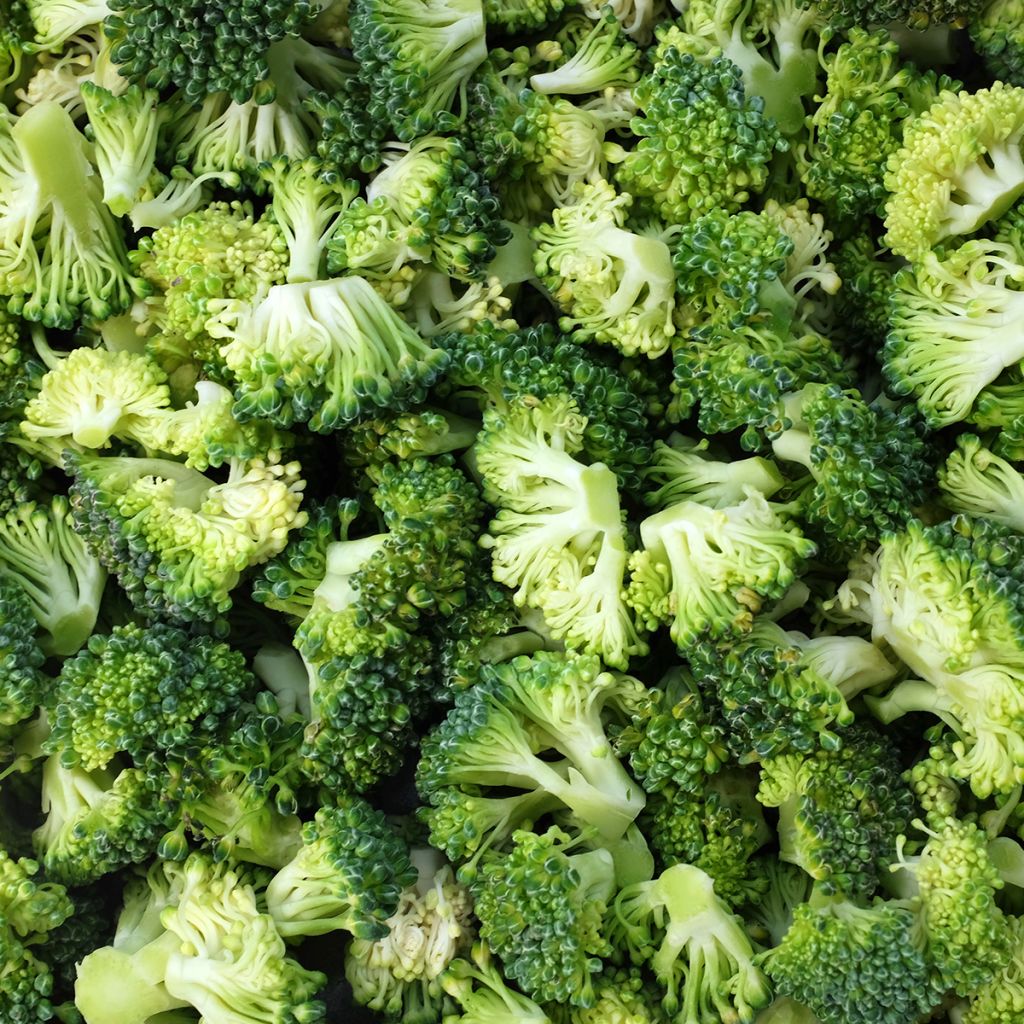 Broccoli Ramoso Calabrese BIO