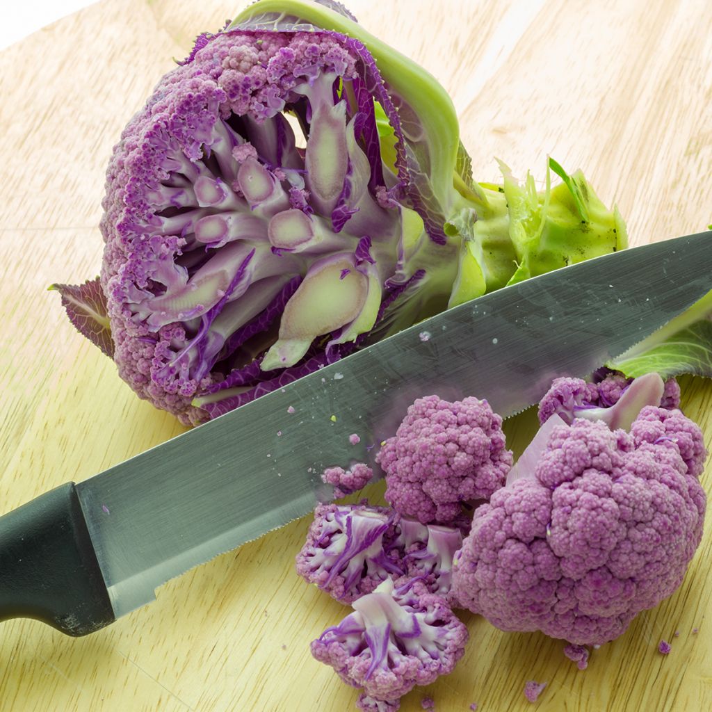 Bloemkool Graffiti F1