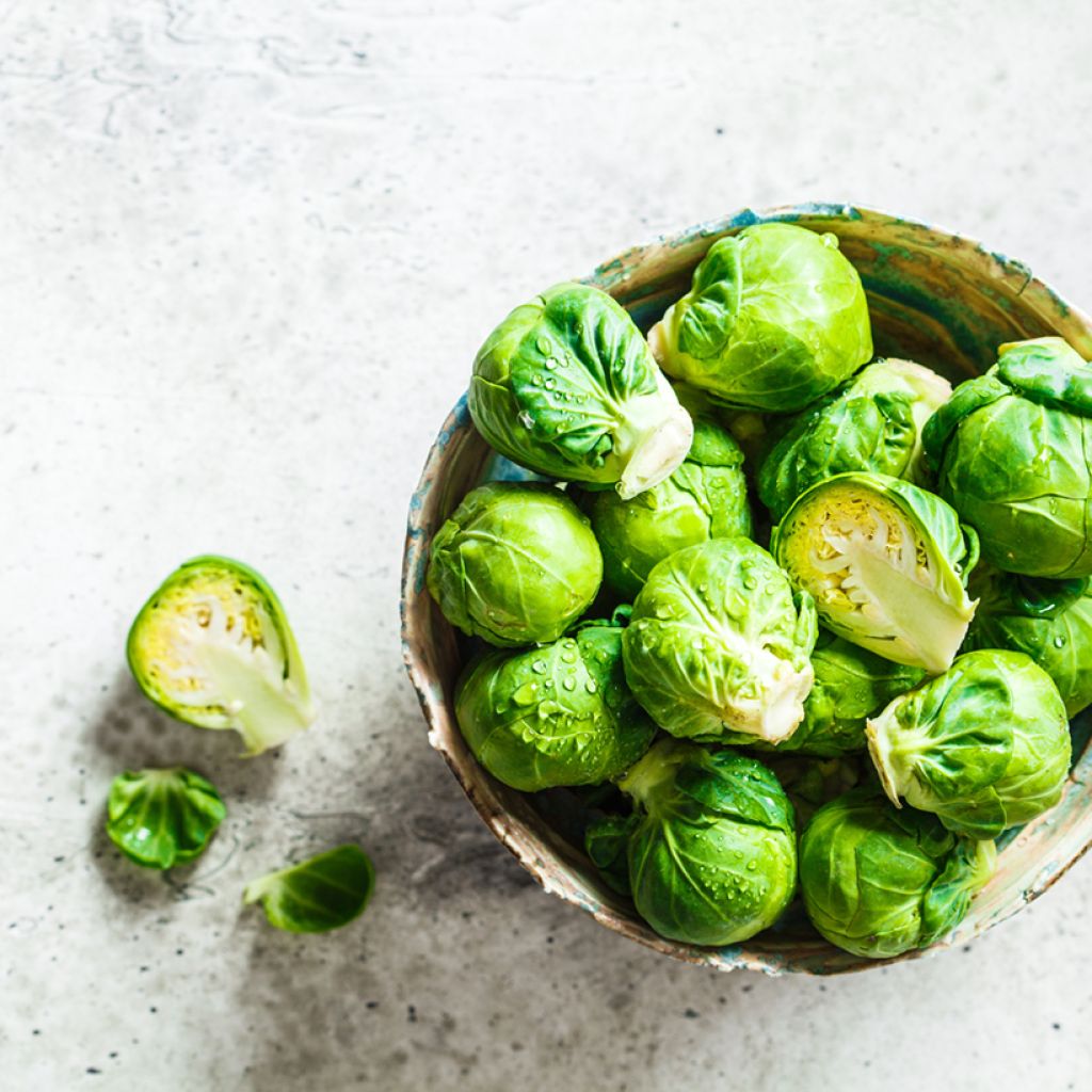 Spruitkool Jade Cross F1 - Vilmorin