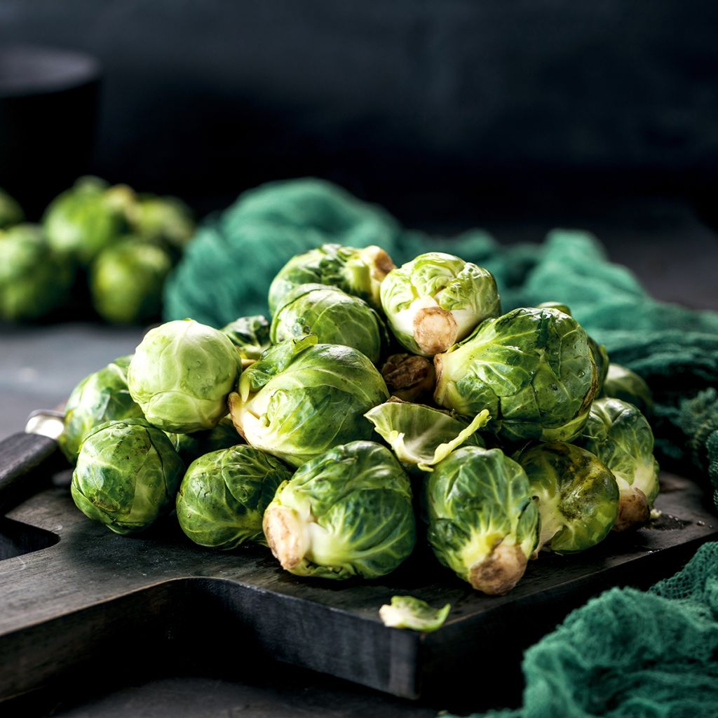 Spruitkool Van Rosny