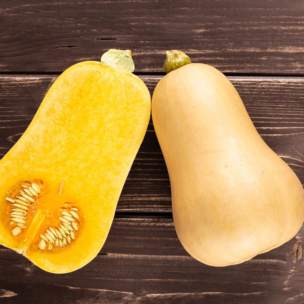 Flespompoen Waltham Butternut