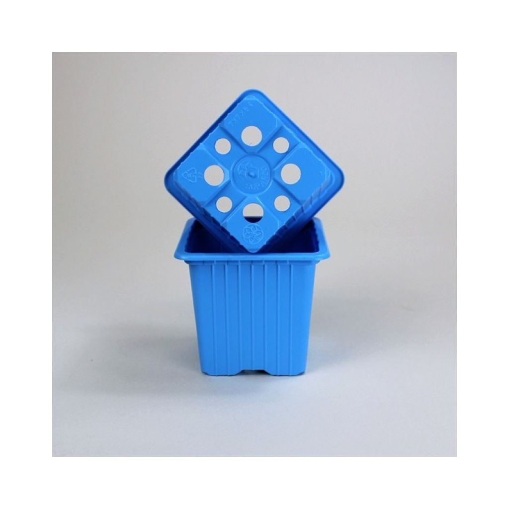 Godet couleur Bleu Clair de multiplication 7 x 7 x 6,4 cm - vendu par 30