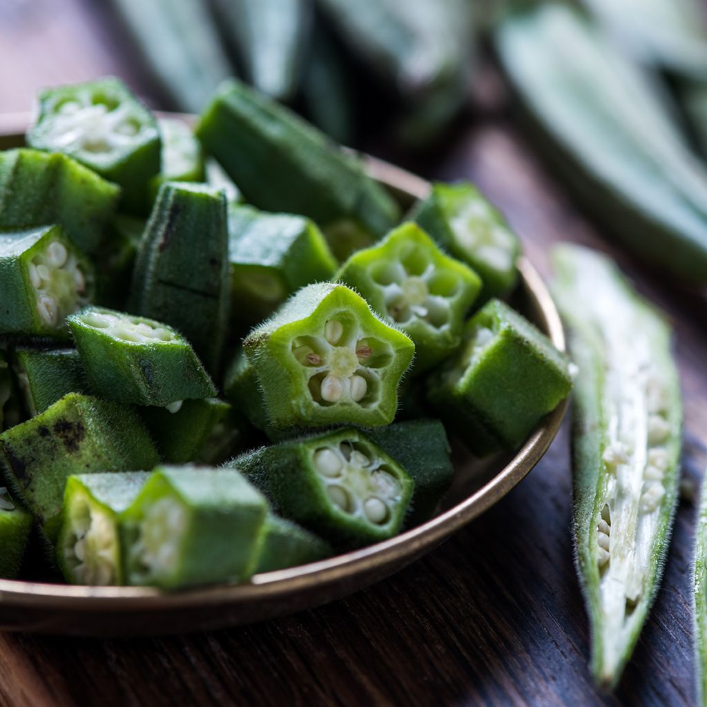 Okra - Abelmoschus esculentus