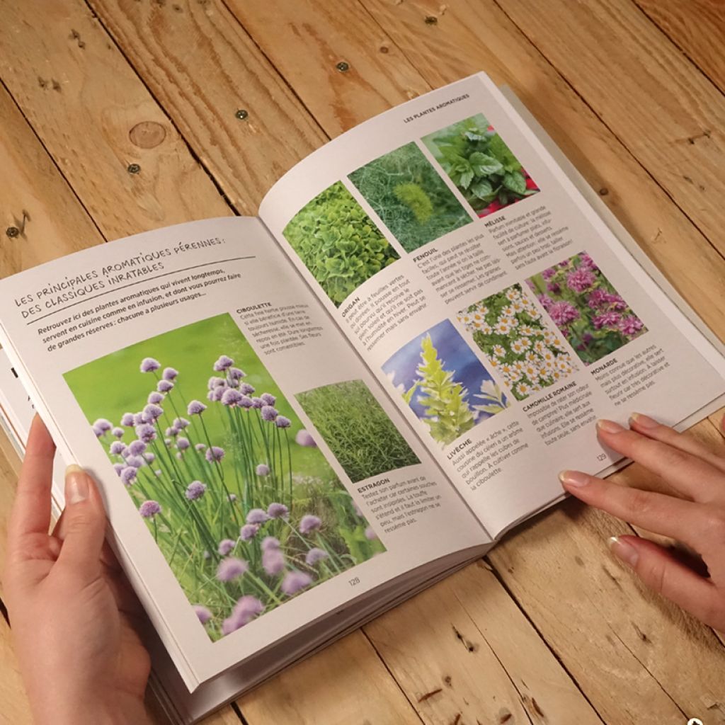 Guide du potager ultra-simple