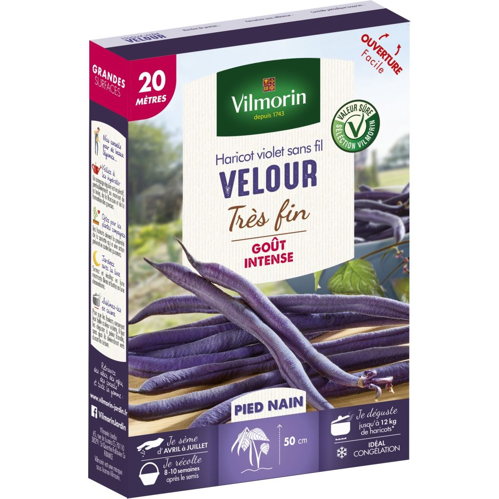 Stamslaboon Velour - Vilmorin