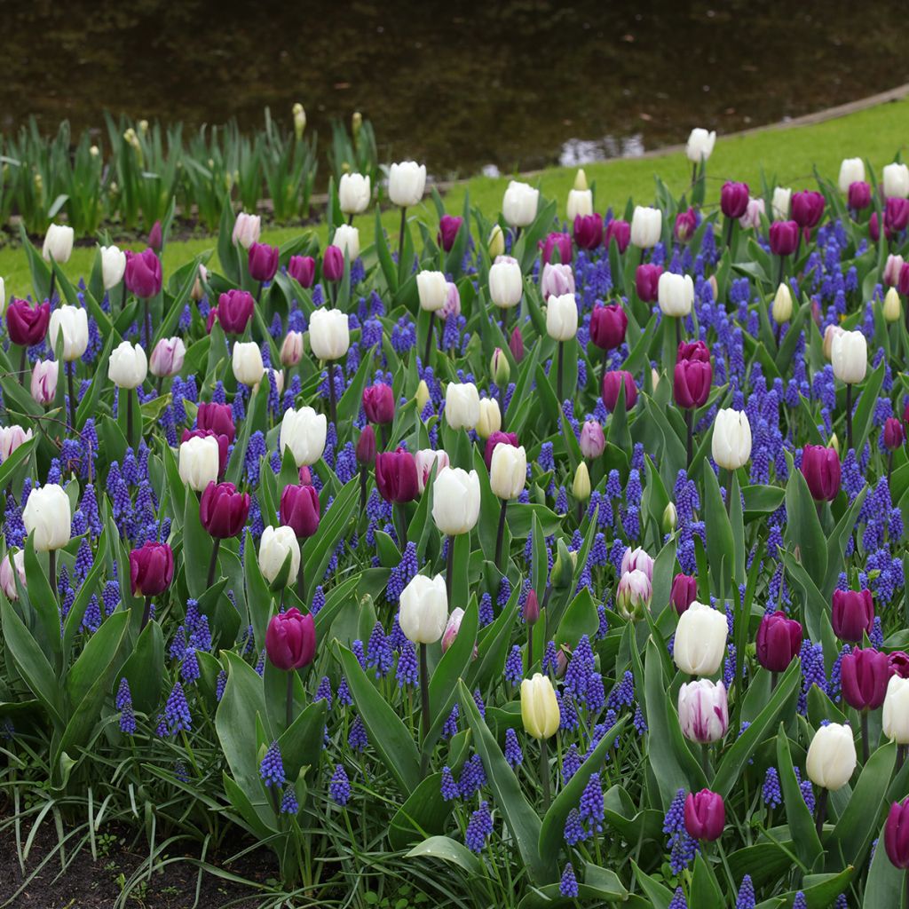 Inspiratie voorjaarsbollen Schemering