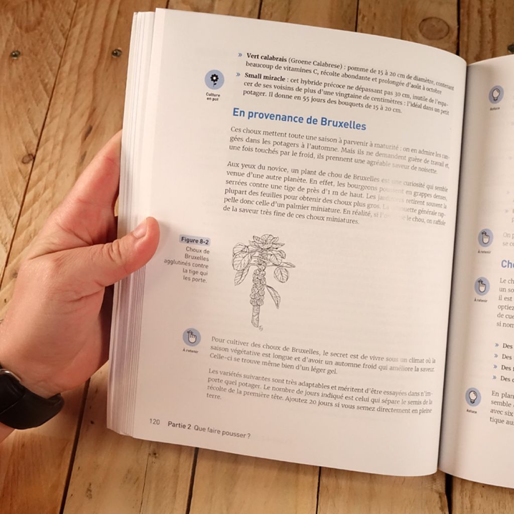 Je cultive mon potager pour les Nuls, grand format