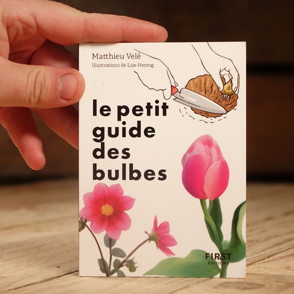 Le Petit guide jardin des bulbes