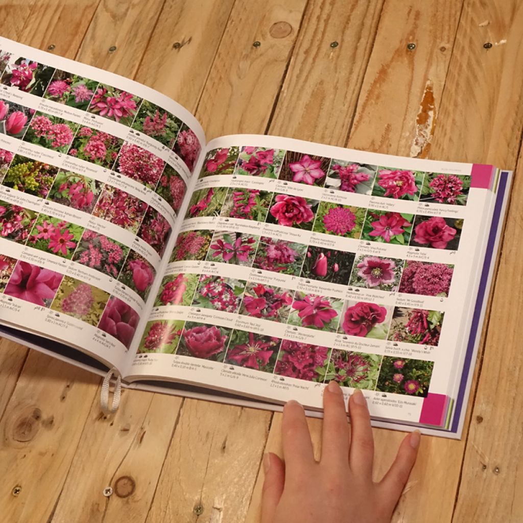 Le nuancier du jardinier