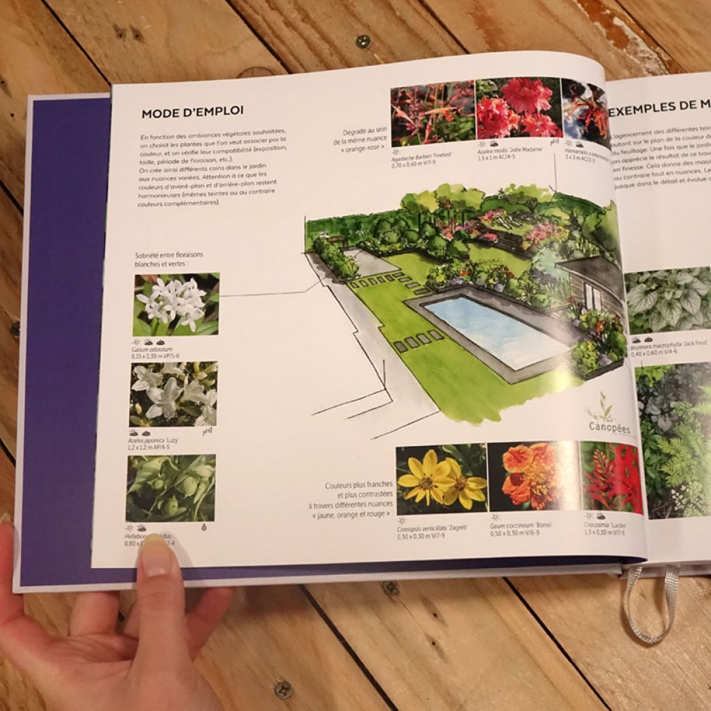 Le nuancier du jardinier