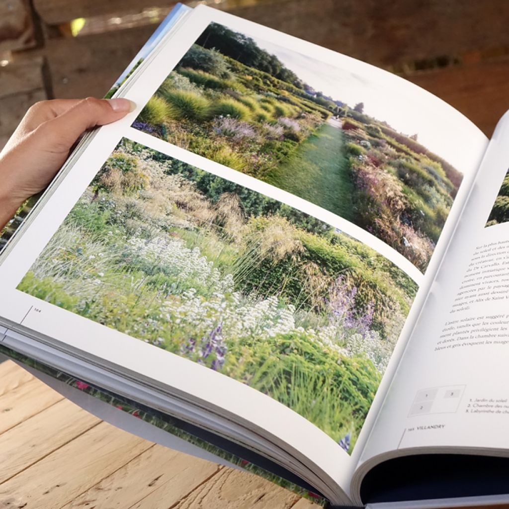 Les jardins des Châteaux de la Loire