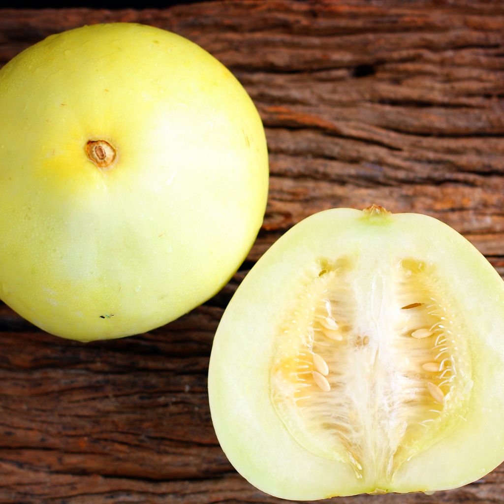 Honingmeloen Honey Dew BIO - Ferme de Sainte Marthe