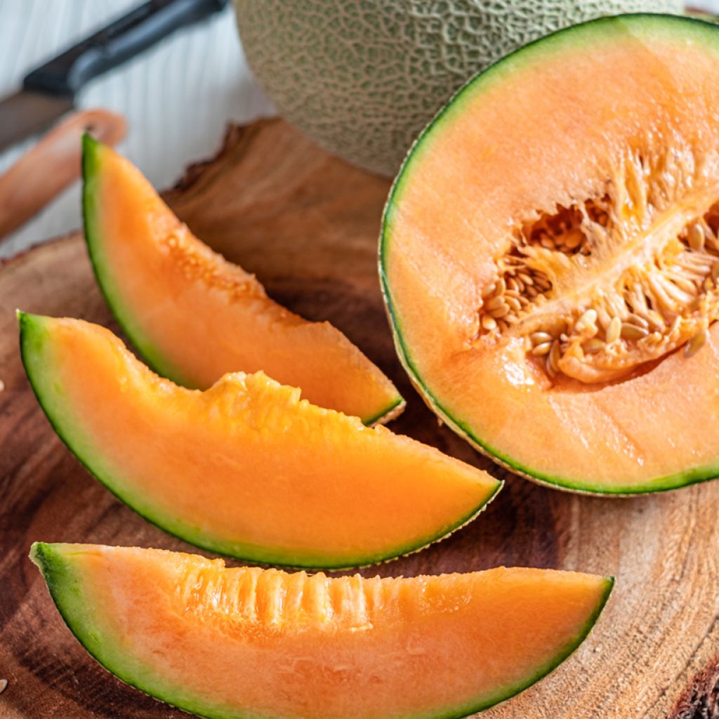 Cantaloupe-meloen Sucrin de Tours