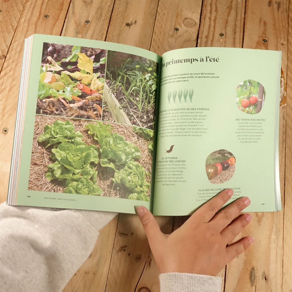 Mes premiers carrés potagers