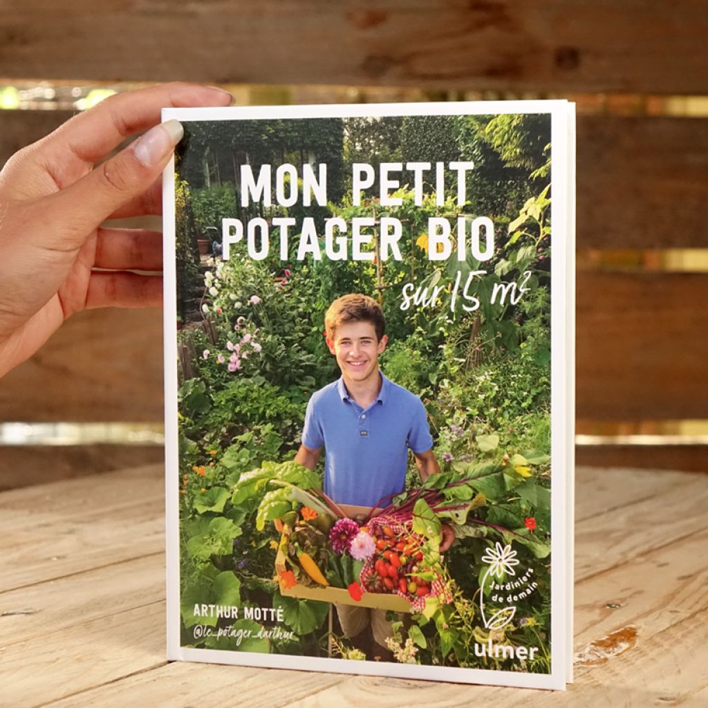 Mon petit potager bio sur 15m²