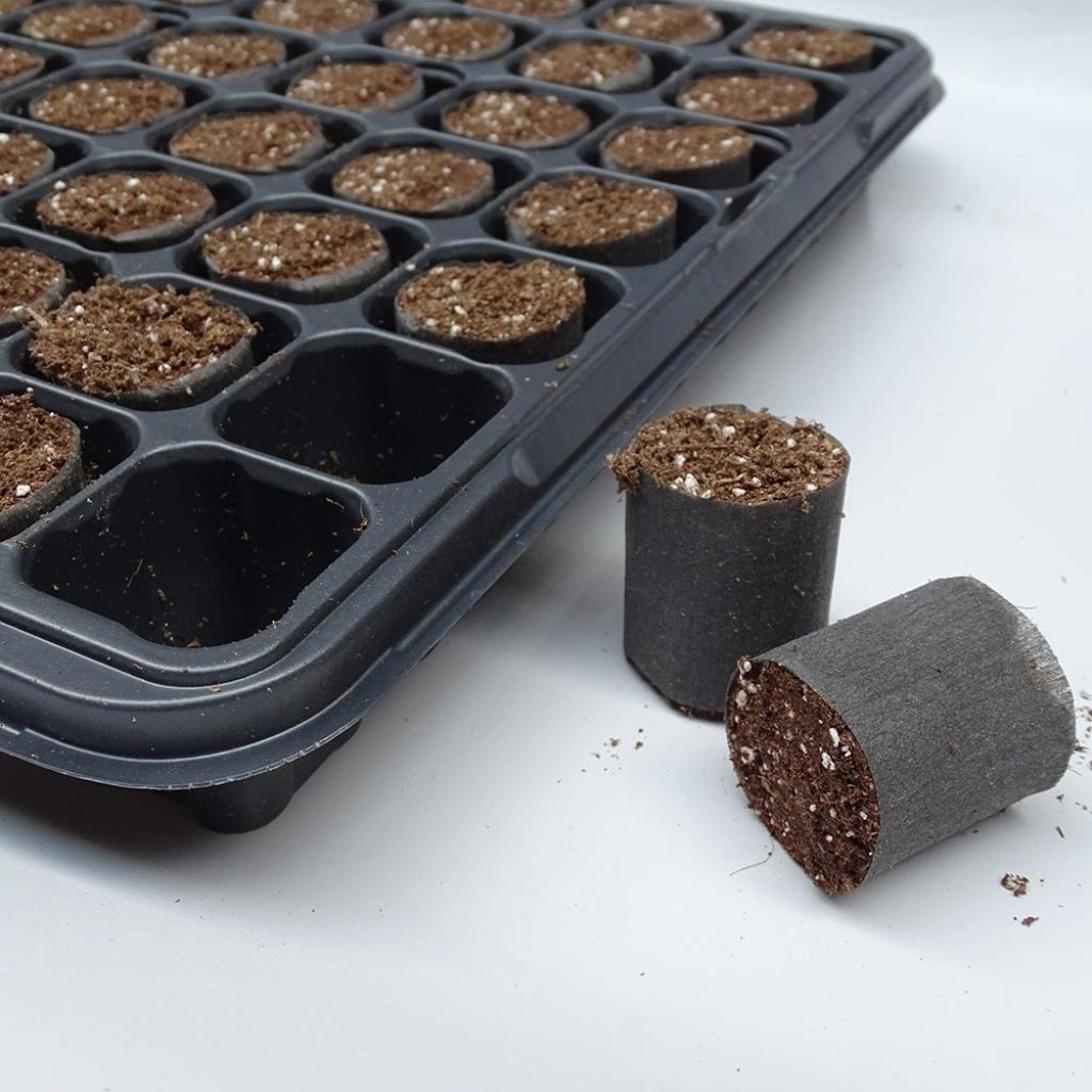 Motte Fertiss de Ferti vendue seule - différentes dimensions disponibles